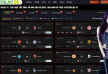 The Dynamic World of Live Soccer and the Latest Match Highlights