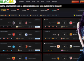 The Dynamic World of Live Soccer and the Latest Match Highlights